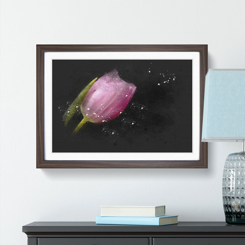 Pale Pink Tulip - Picture Frame Graphic Art Print, 62cm H x 87cm W x 2cm D, Walnut Framed