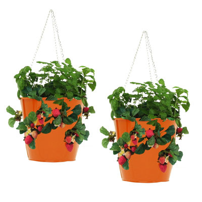Inverleigh Metal Hanging Planter