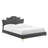 Modway Neena Performance Velvet Bed-712920049-712920052