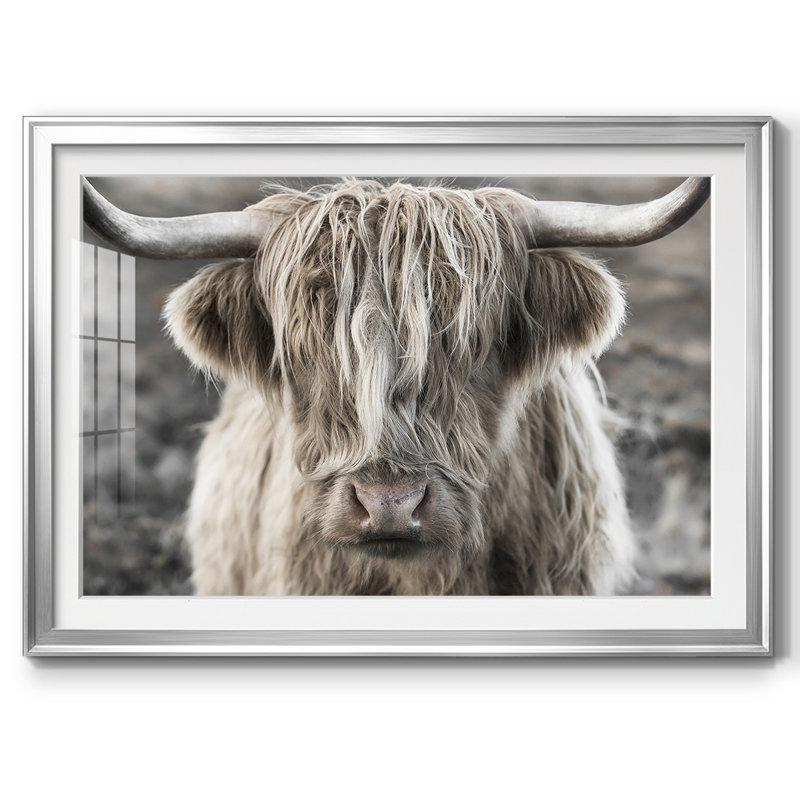 Highland Skye, reproduction d'art encadrée, H 30 po x l 44 po x P 1,5 po, Argent