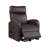 Ricardo Synthetic Leather Power Motion Recliner Withlift-1230715882