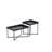 Ensemble de tables basses 2 pièces
