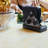 Crystal No Mounting / Installation Required Napkin Holder