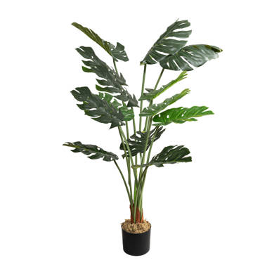 Artificial Monstera Plant in Pot Primrue Size: 48 H x 8 W x 8 D, Set Size: 1