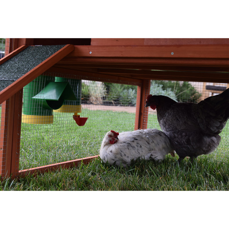 Green Plastic Elevated Poultry Waterer with Mounting System, 2-Pack