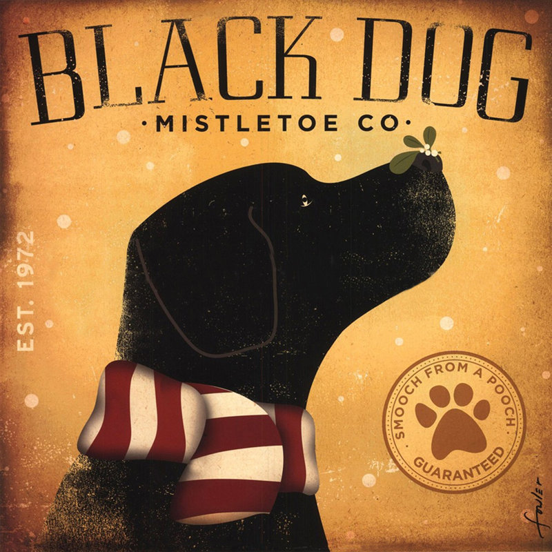 Black Dog Mistletoe, H 15 po x l 15 po