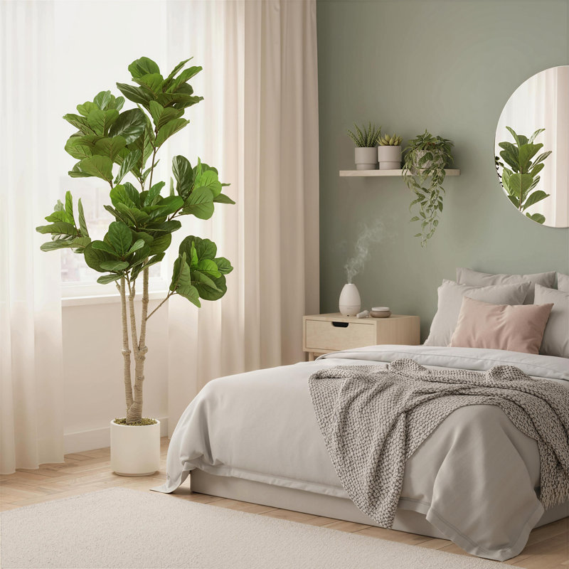 180cm Plant