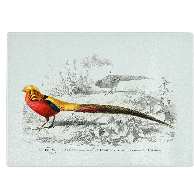 Glass Male Golden Pheasant by Charles D' Orbigny Chopping Board, 39 cm W x 28.5 cm L