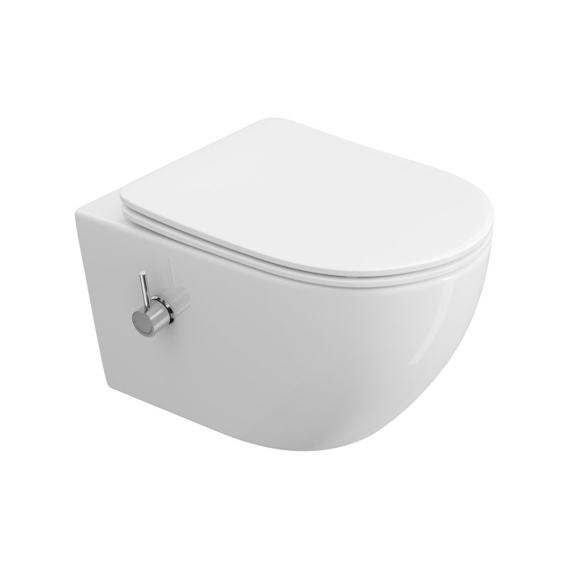 HOROW Wall Hung Bidet Toilet with Side Control, 360° Adjustable Nozzle, Warm/Cold Water, Rimless Design, Soft-Close Seat, White