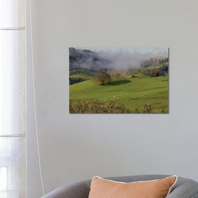 USA, Oregon, Whistler's Bend County Park. Overview Of Sheep In Pasture. by Jaynes Gallery - Wrapped Canvas Gallery-Wrapped Canvas Giclée