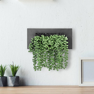 2pcs Faux Plants Indoor Artificial String Of Pearls Plant In Black Pots,  Realistic Green Fake Hanging Plants For Shelf Decor Desk Home Garden  Decorat
