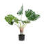 Artificiel fromage suisse plante en pot