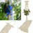 Cherylene Plant Hanger