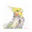 Art sur toile perroquet-52153774-52153775
