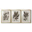 Arbor Speciment IV - reproduction sur mesure encadrée de qualité supérieure - 3 pièces-1806694775-1806694771