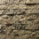 Placage en pierre plate non classé Evolve Stone District View (14,25 pieds carrés par boîte)