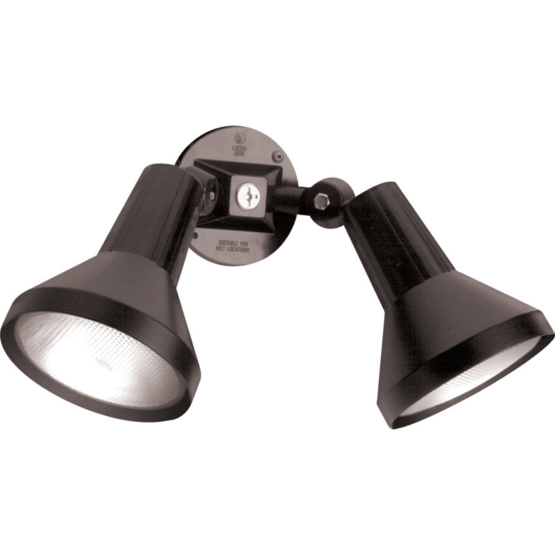  Projecteur d'extérieur de sécurité 15 po 2 lumières Chaidez, Noir