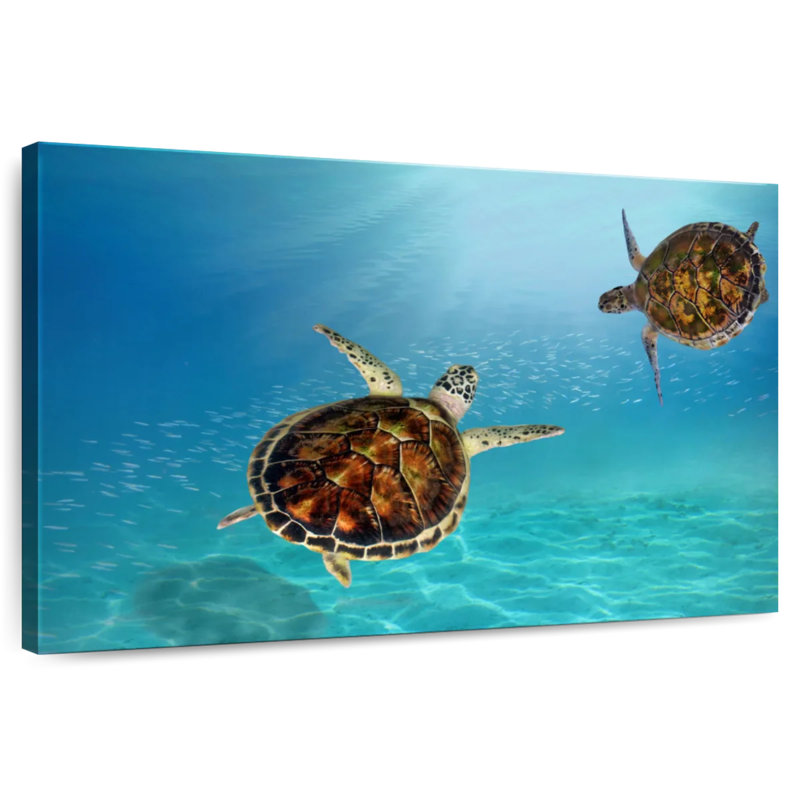 Tortues imbriquées sous l'eau, H 8 po x l 12 po
