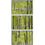 «Vibrant Green Birch Forest», 3 pièces-100135968-100135969
