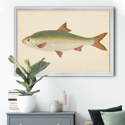 " Donovan Antique Fish II "