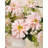 17" Dahlia Set-1319339421