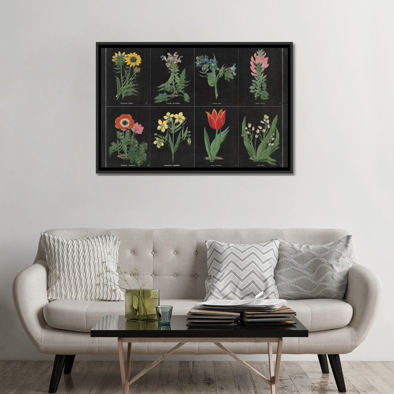 «Botanical Chart I», impression sur toile tendue, H 18 po x l 26 po x P 1,5 po, Toile avec cadre noir, Pas de tapis