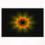 «Psychedelic Yellow Fractal Flower», impression-26687161-35062406