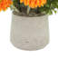 Arrangement de tournesol dans un pot en fibre de pierre-773778456