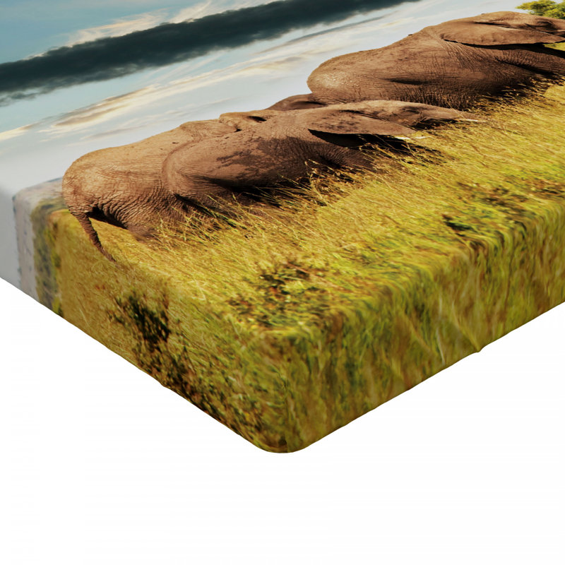 Drap-housse safari, Drap-housse de taille simple