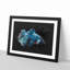 Blue Siamese Fighting Fish - Single Picture Frame Painting on MDF-56854808-56854815