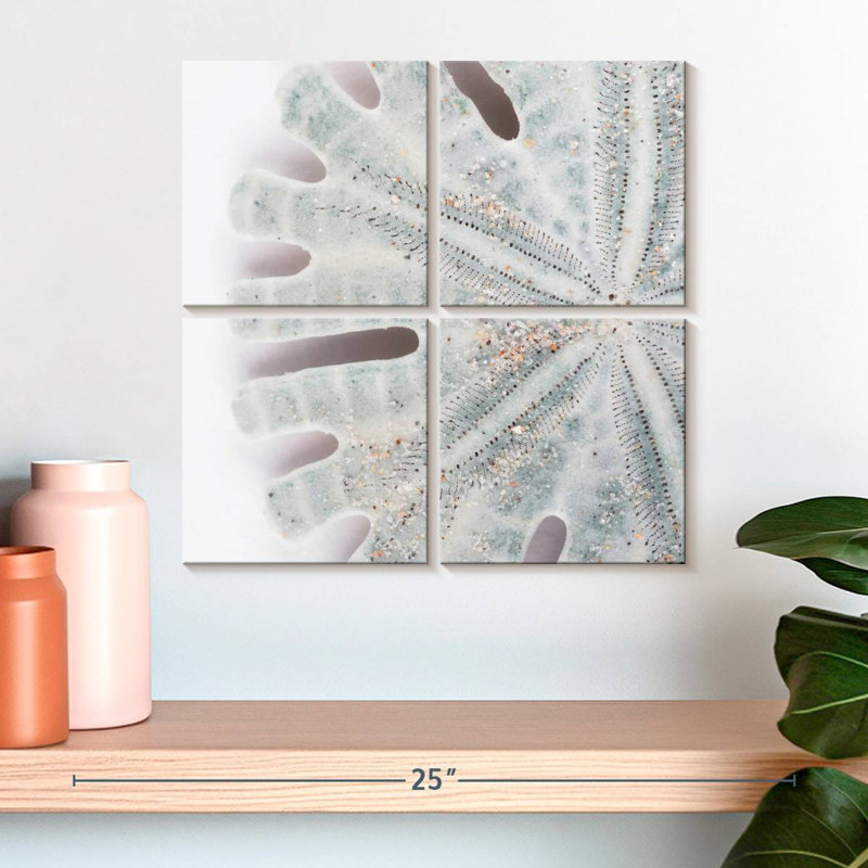 Brampt Florida Sand Dollar IV, H 18 po x l 18 po