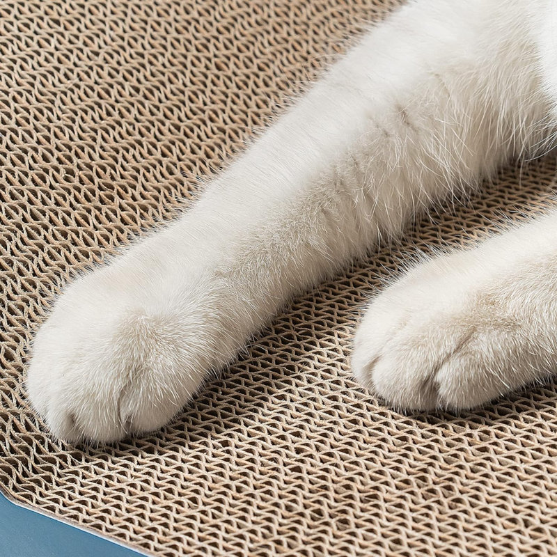 Conlun Cat Scratcher Cardboard Cat Scratch Pad With Premium Scratch Textures Design Durable Cat Scratching Pad Reversible Shark 15.7L X 9W X 2.6H