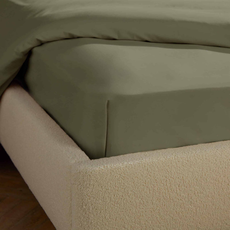 Silentnight Brushed Cotton Fitted Sheet, Double (4'6), Green
