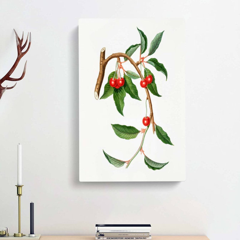 Sour Cherries by Giorgio Gallesio - Wrapped Canvas, 76cm H x 50cm W x 3cm D
