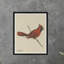 Cardinal Print