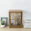 Acacia Wood Display Wall Case With Corkboard