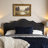 Arhaan Paskett Modern And Contemporary Headboard-1949716101-1949716098