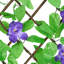 Cassilda Lattice Panel-1001243877