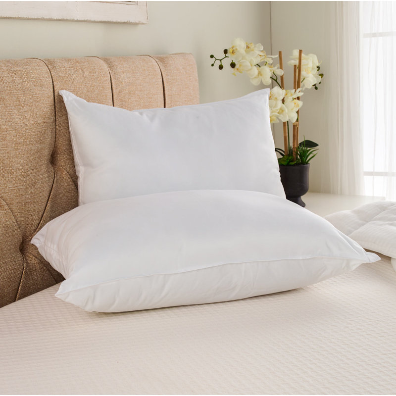 Oreiller ferme en polyester Wayfair Sleep, Très grand lit, Ferme