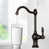 Oil Rubbed Bronze is out of stock