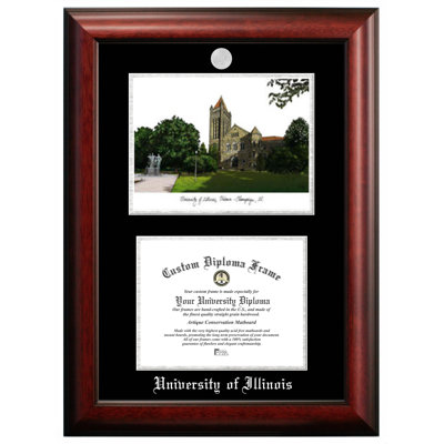 University of Illinois Picture Frame