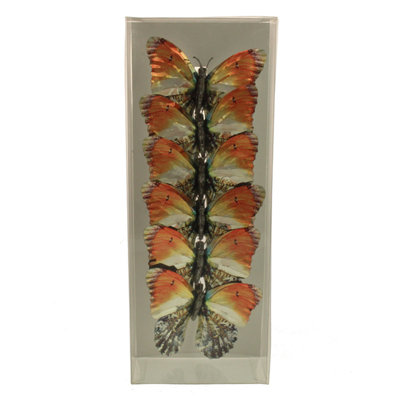 10cm Animals Ornament Accessory