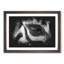 The Eye of a Zebra - Picture Frame Graphic Art Print-56864571-56864569