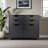 Holthaus Black Finish Mobile Cabinet With 4-Drawer and 2-Door, 26.02'' H X 31.91'' W X 15.83'' D-2097489795