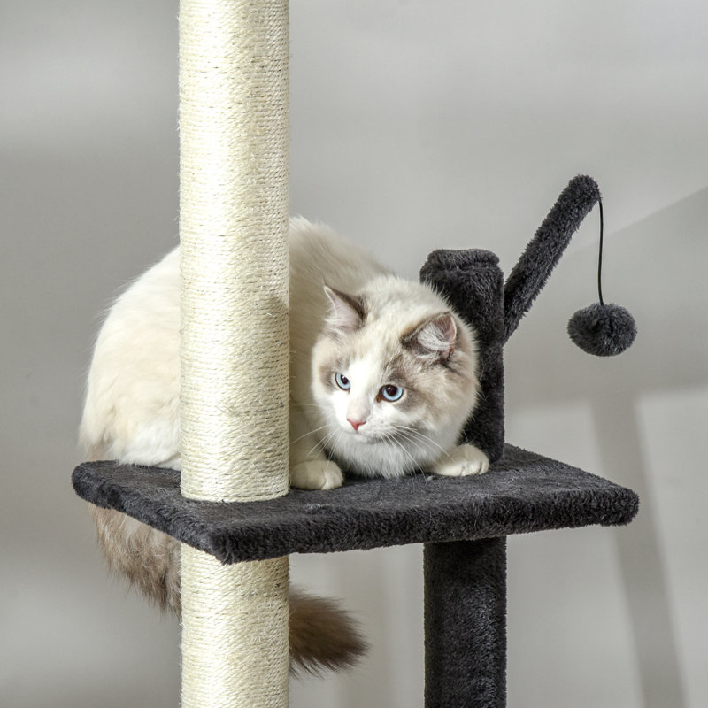 Jouet d'escalade pour chat 106 po