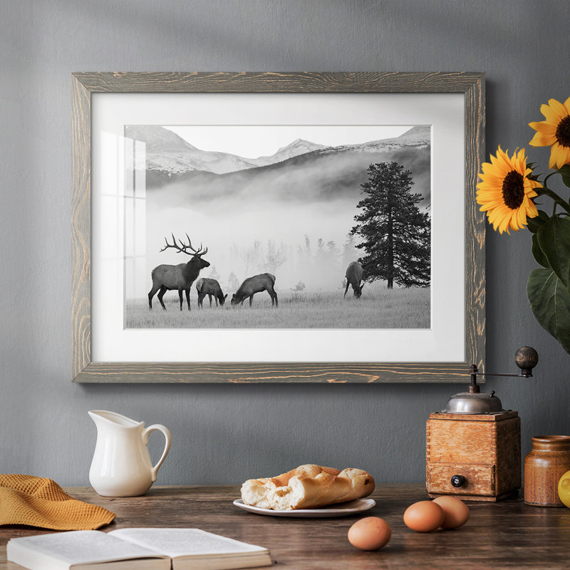 Mountain Elk - impression d'un seul cadre photo, Gris