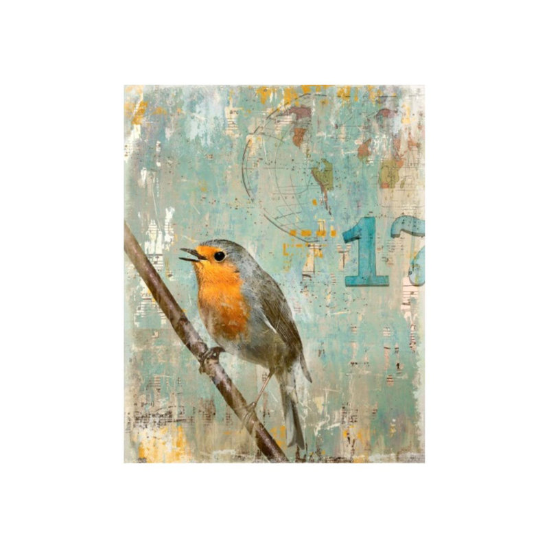 «Aves 17» par Zoey Riley - impression, Extérieur, H 30 po x l 24 po