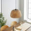 Pewamo 1 - Light Black Dome Pendant