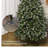 Teniente Pine Christmas Tree-1353205796-1353205793
