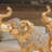 Creative Elephant Statue Decor,